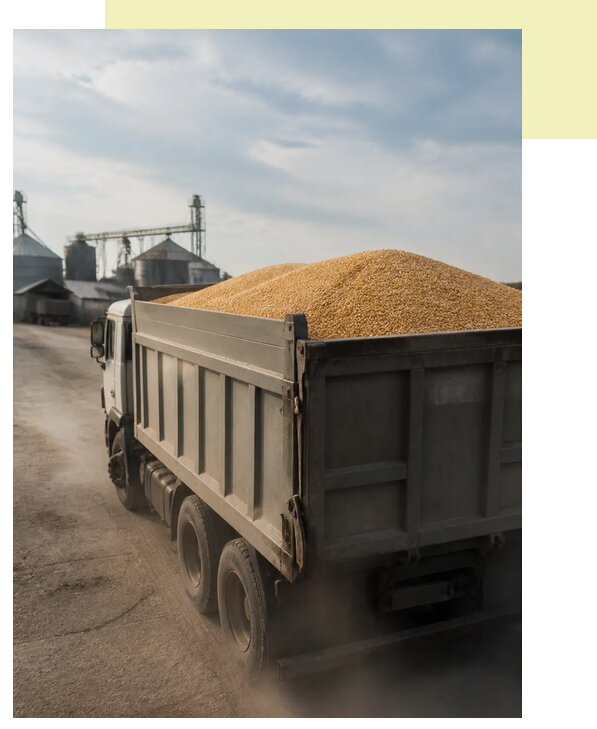 Перевозка сельхозпродукции навалом в Архангельск по цене от 3084 р. | Агросервис-Рхн